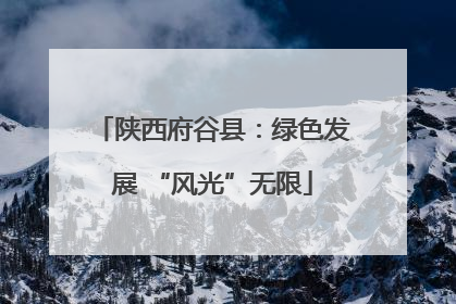 陕西府谷县：绿色发展 “风光”无限